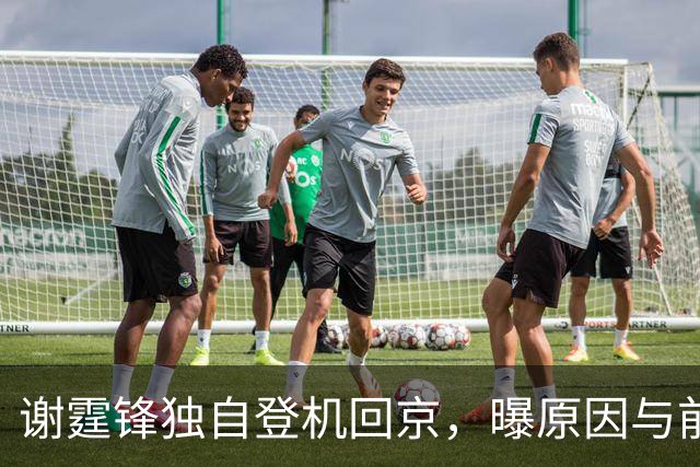 谢霆锋独自登机回京，曝原因与前妻有关，三胎谣言终结 柏芝成赢家
